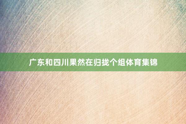 广东和四川果然在归拢个组体育集锦