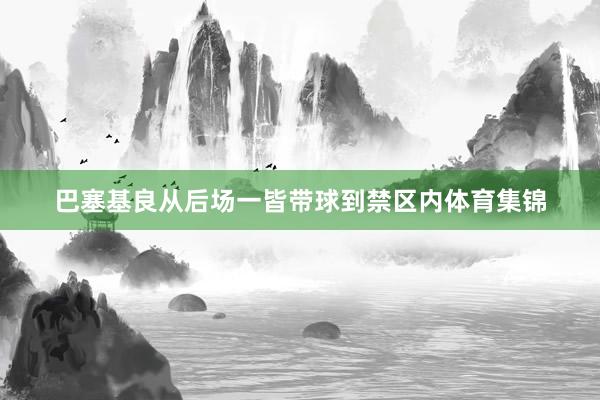 巴塞基良从后场一皆带球到禁区内体育集锦