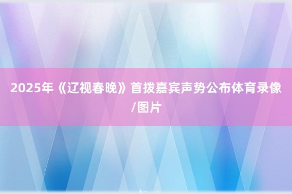 2025年《辽视春晚》首拨嘉宾声势公布体育录像/图片