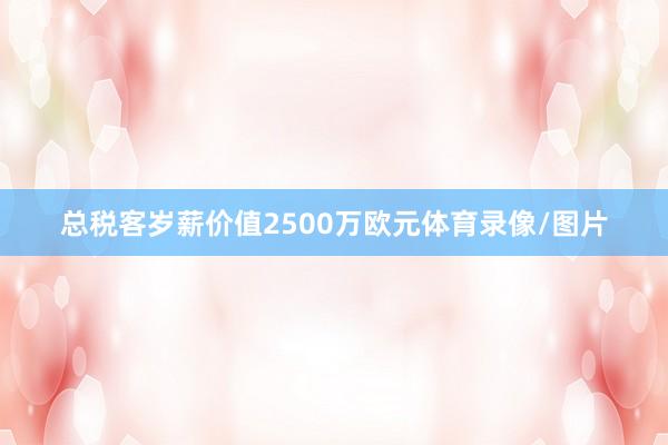 总税客岁薪价值2500万欧元体育录像/图片
