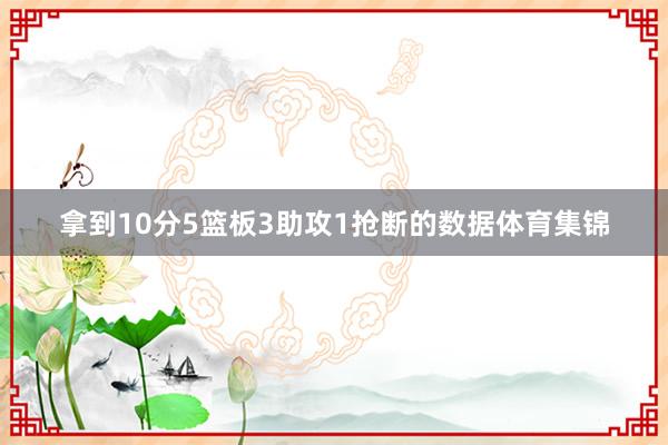 拿到10分5篮板3助攻1抢断的数据体育集锦