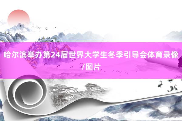 哈尔滨举办第24届世界大学生冬季引导会体育录像/图片